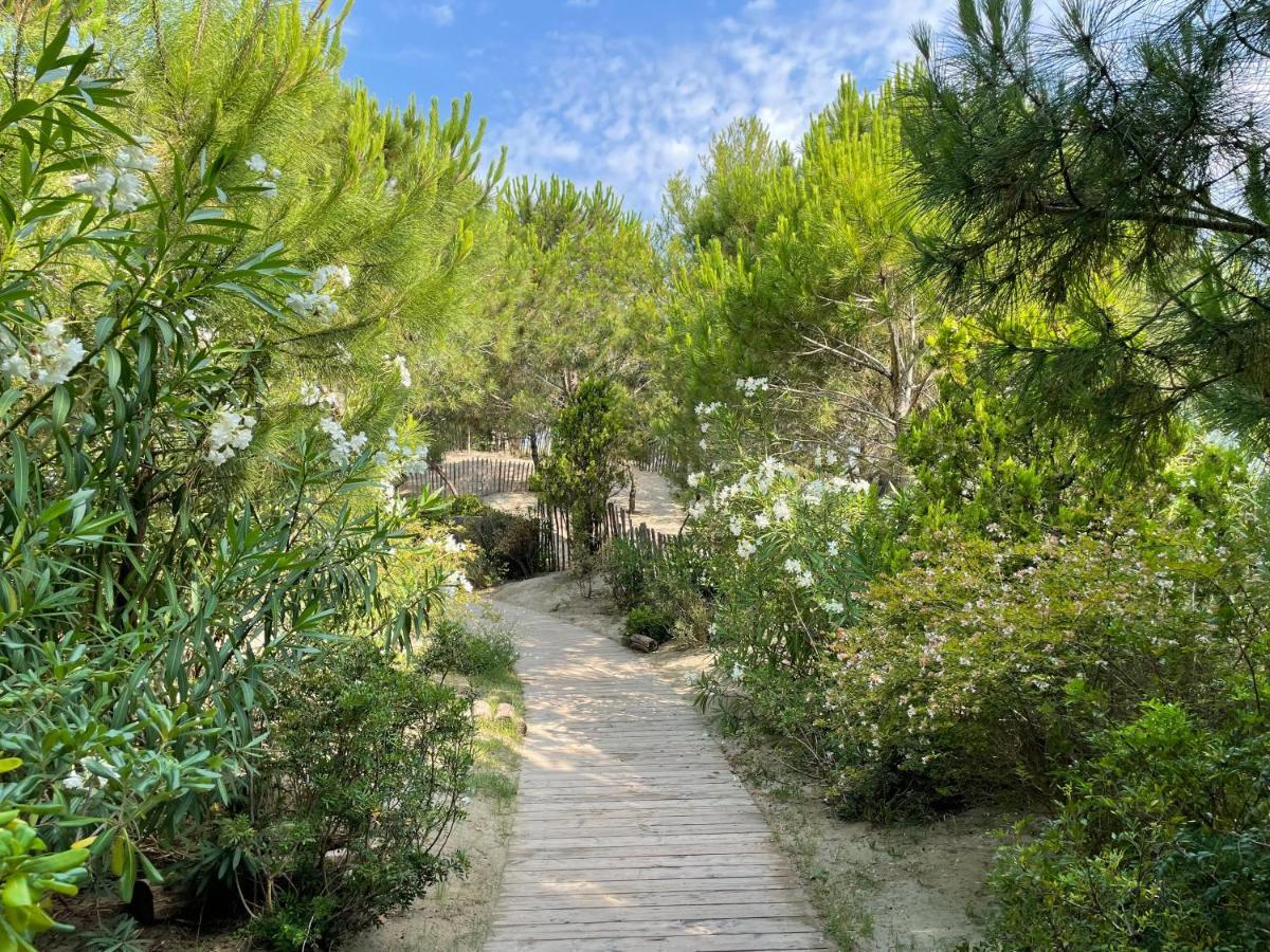 Hôtel Plage Palace&Spa Palavas-les-Flots Buitenkant foto The path leading to the cave